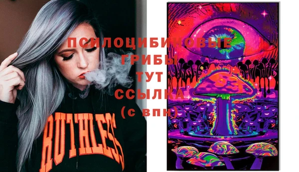 соль ск Алзамай