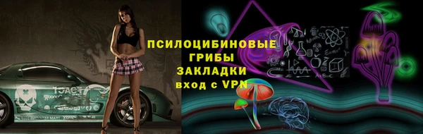 герыч Снежногорск