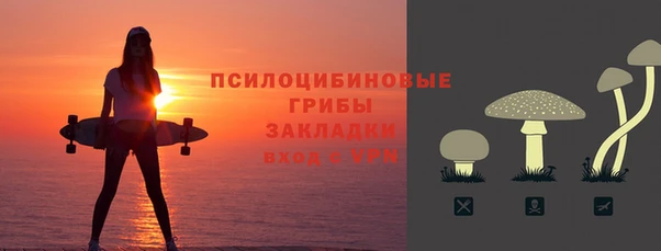 соль ск Алзамай