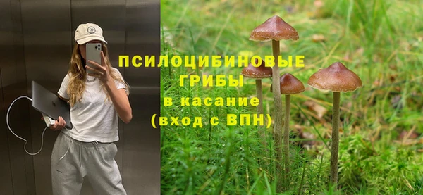 соль ск Алзамай